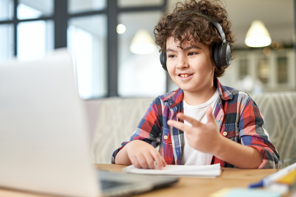 Young boy using a laptop computer